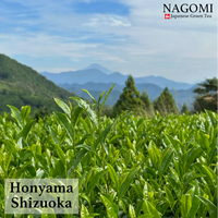 SENCHA