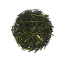 SENCHA