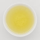 SENCHA