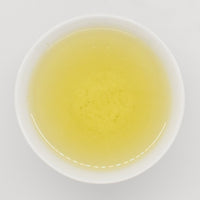 SENCHA
