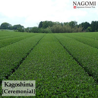 MATCHA NAGOMI Japanese Green Tea