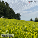 抹茶