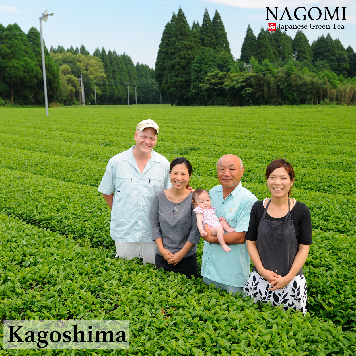 抹茶